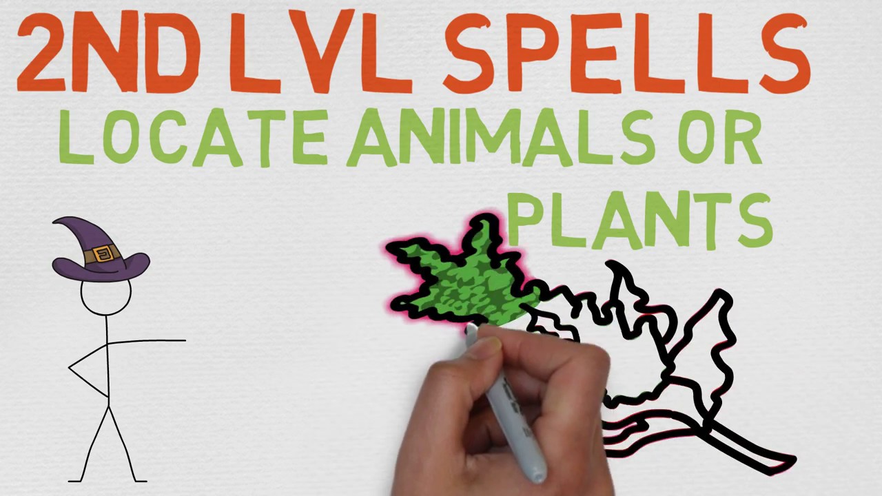 2nd Level Spell #45: Locate Animals or Plants (DnD 5E Spell)