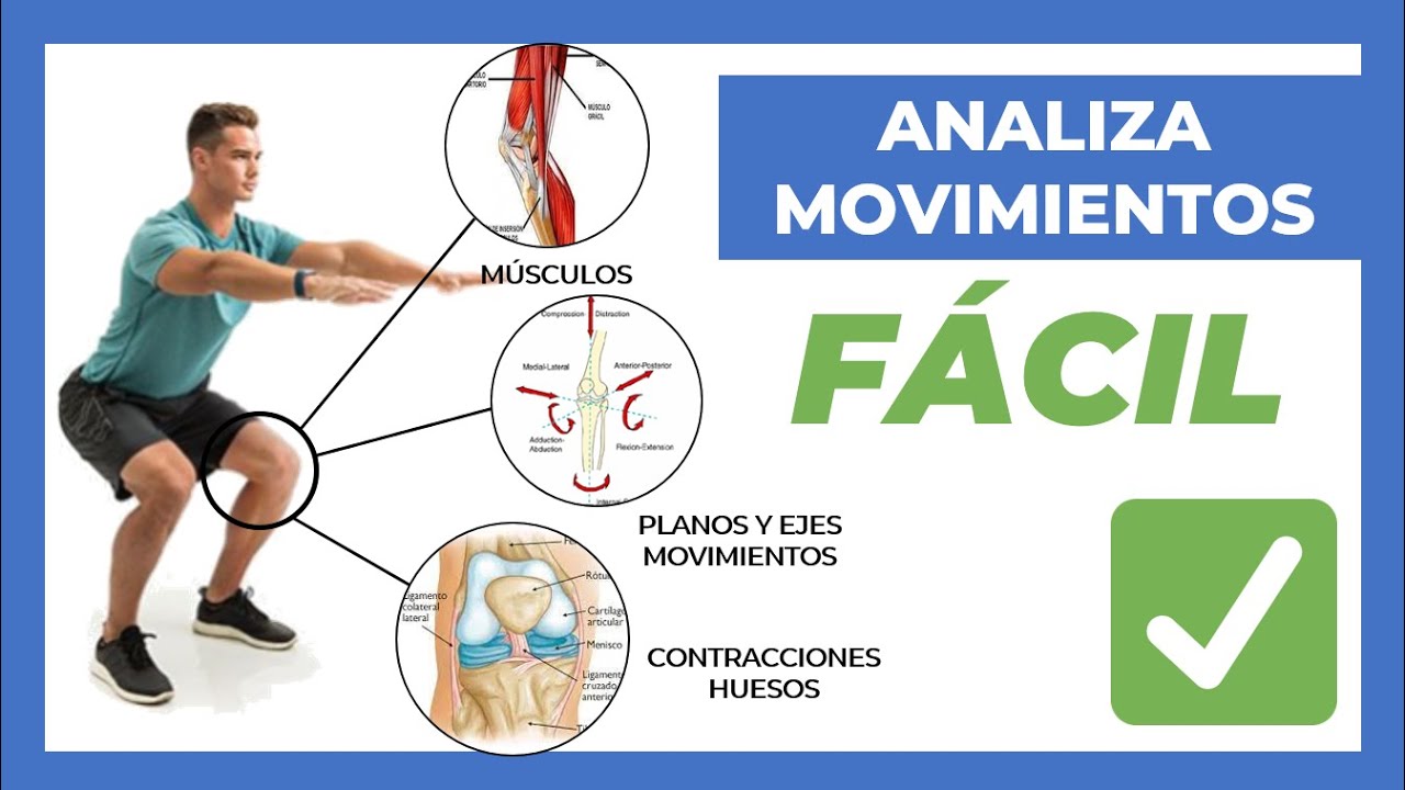 🏋️&zwj;♀️ AN&Aacute;LISIS DE MOVIMIENTO humano (SUUUPER F&Aacute;CIL) Introducci&oacute;n | Biomec&aacute;nica