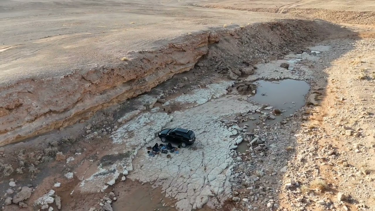 ٢٩ ديسمبر، ٢٠٢٥