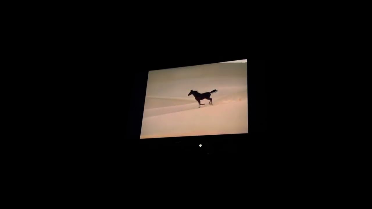 Opening to The Princess Diaries 2: Royal Engagement 2004 DVD
