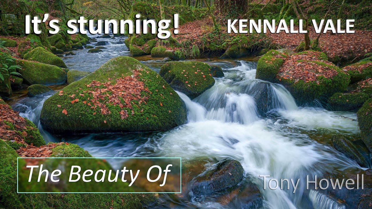 Kennall Vale, Cornwall - Beauty of