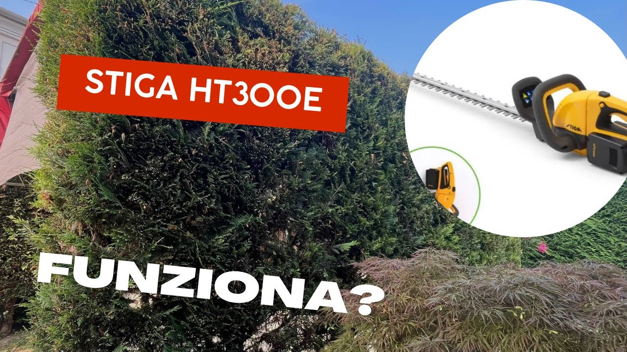 Taglio la siepe con il nuovo tagliasiepi a batteria
