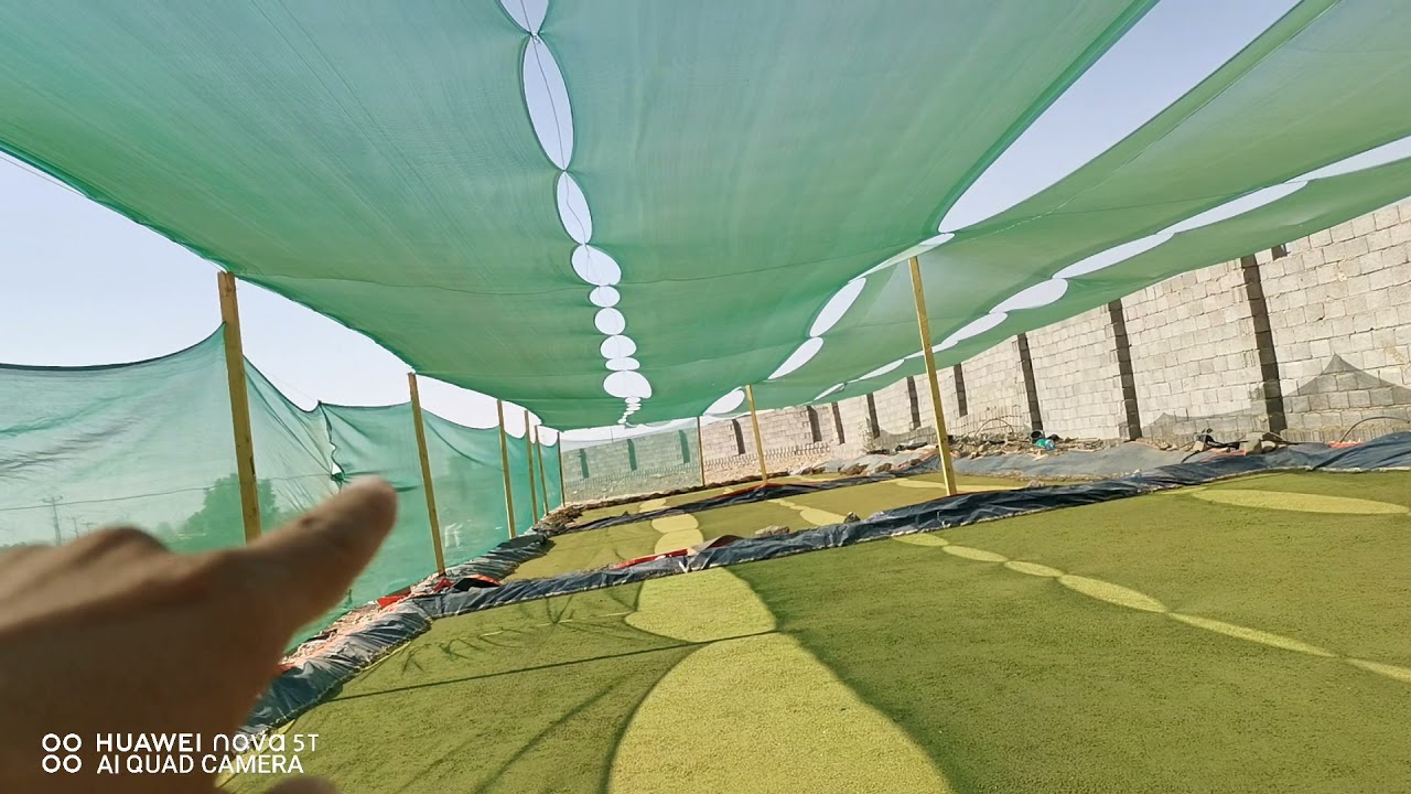 إجابة أسئلة المتابعين عن كمية زراعة الحوض من الازولا للمتر الواحد لتواصل 0564846085