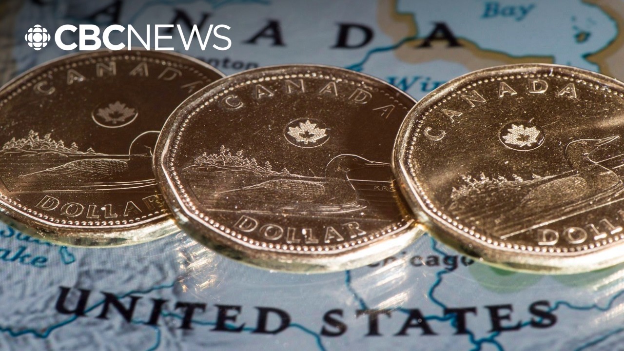 How Trump&rsquo;s new 50% tariffs could affect the Canadian economy; explained