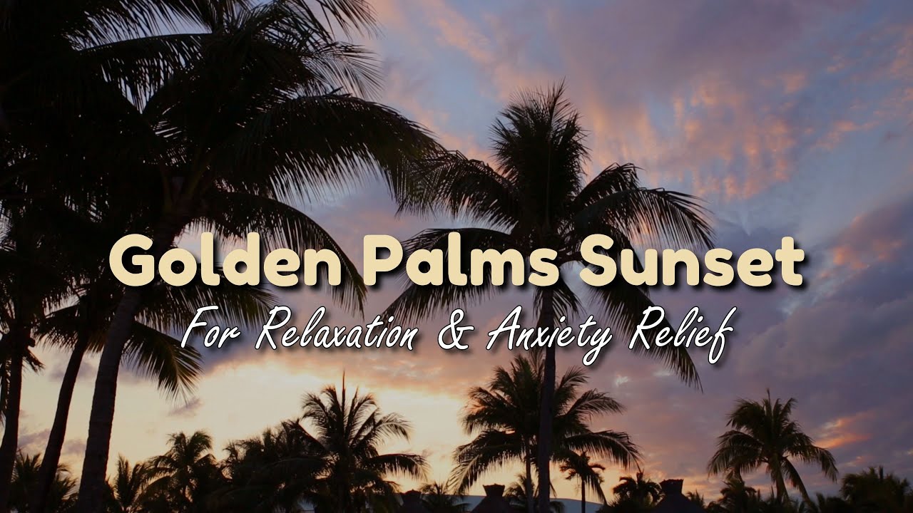 Serene Palm Trees at Sunset | Relaxing Ambience for Stress Relief & Inner Peace