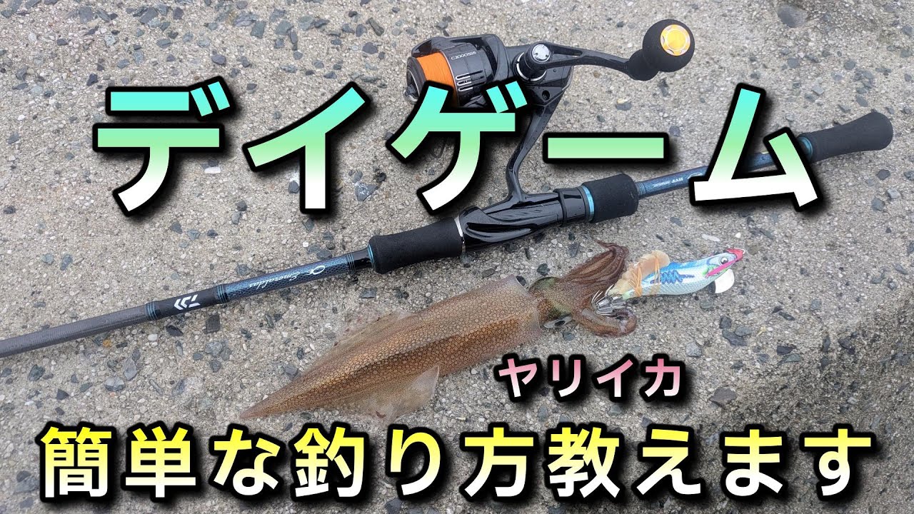 簡単にヤリイカがデイでも釣れる方法を教えます