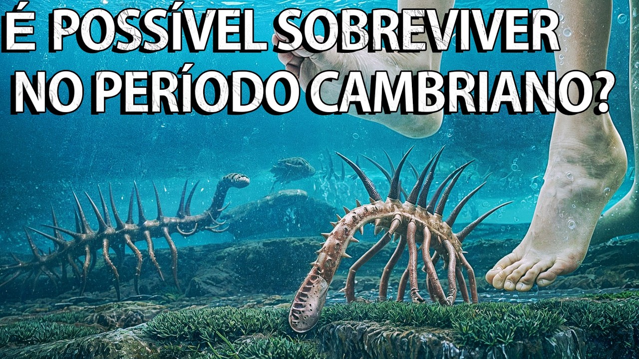 Os Humanos Modernos Podem Sobreviver No Período Cambriano？