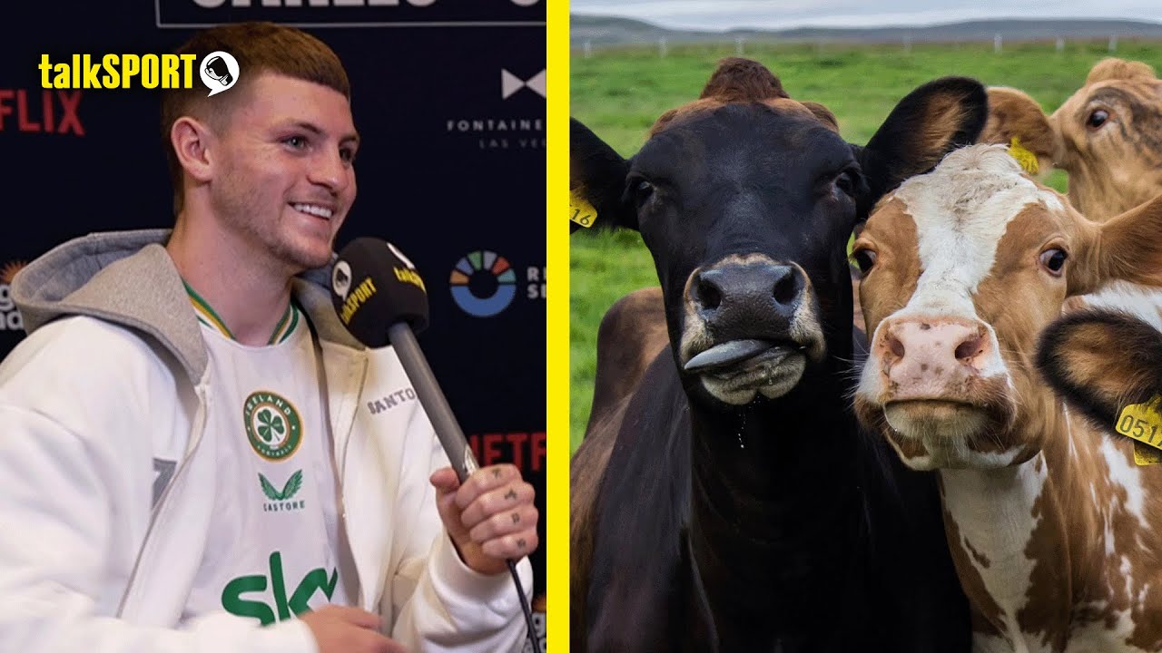 I Want TWO Cows! Callum Walsh talks journey to USA via Mexico, signing with Dana White & More!