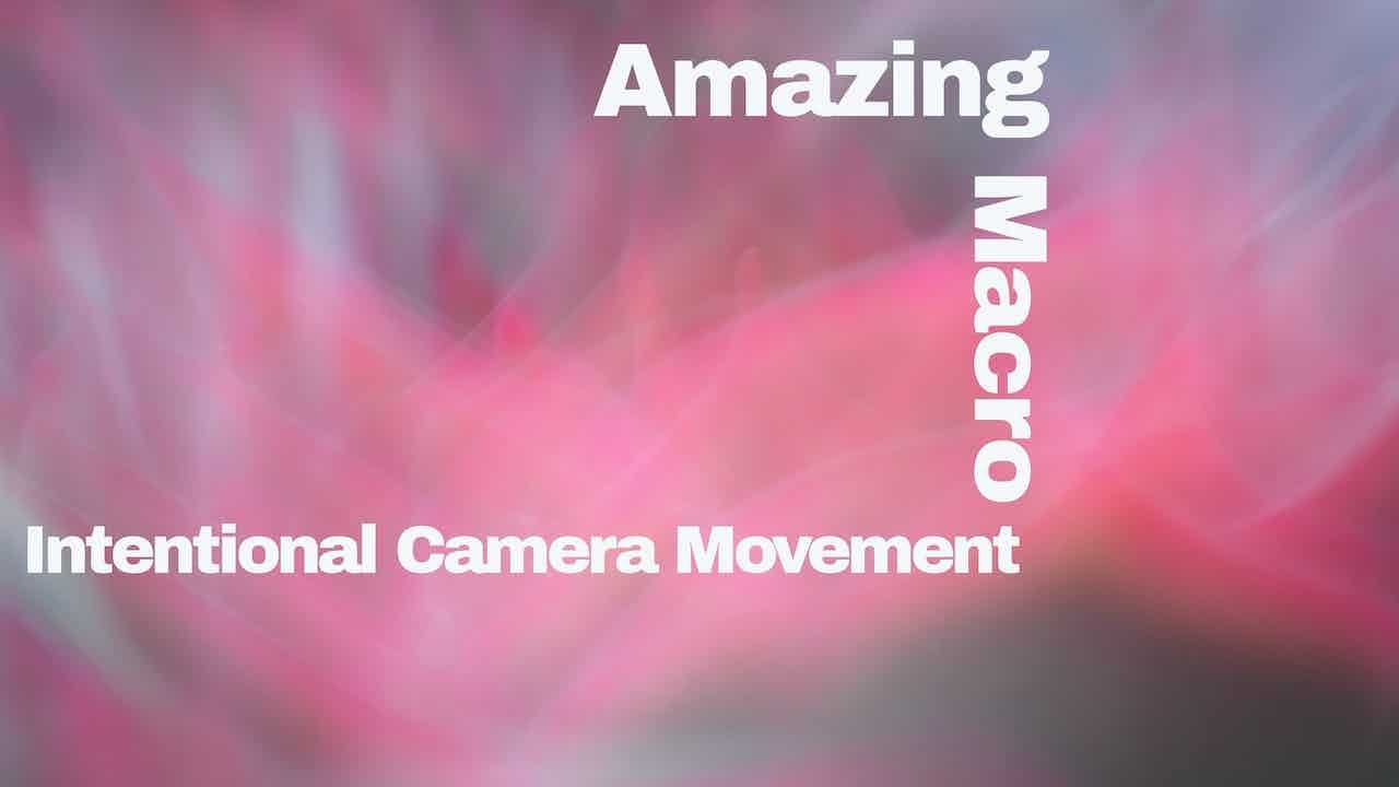3 Tips for Creative ICM images. I capture some of my best ever images with a 15 year old Nikon D90