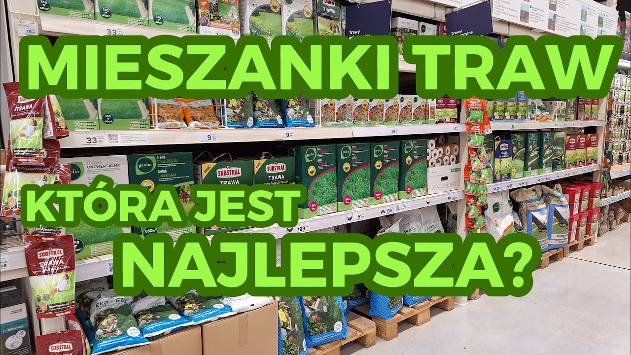 Jaka mieszanka traw jest najlepsza na trawnik? DOBRZE DOBRANA! Przykładowe, dobre składy mieszanek.