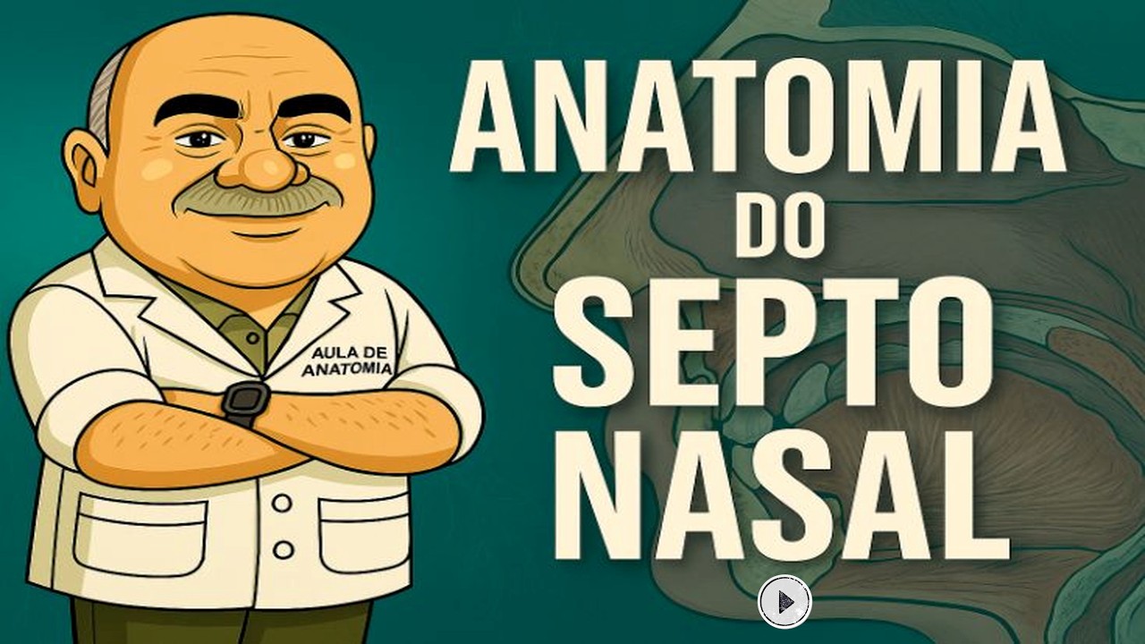 ANATOMIA DO SEPTO NASAL #anatomy #medicina #anatomia #otorrino #biologia #otorrinolaringologista