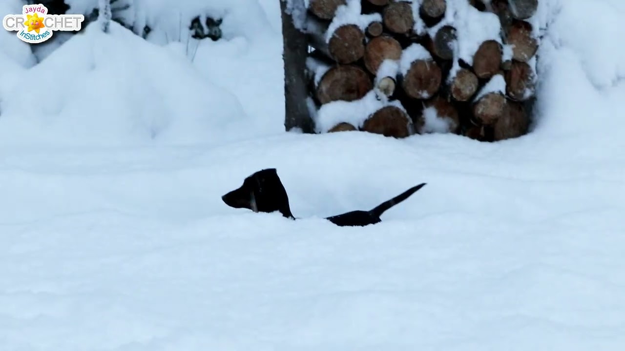 Penelope's Snow Day