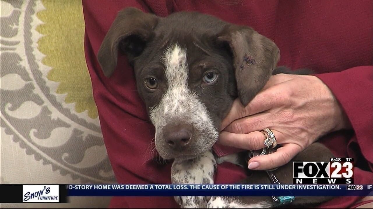 Adopt a Survivor: Meet Eden