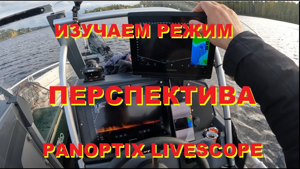 Режим ПЕРСПЕКТИВА  PANOPTIX LIVESCOPE
