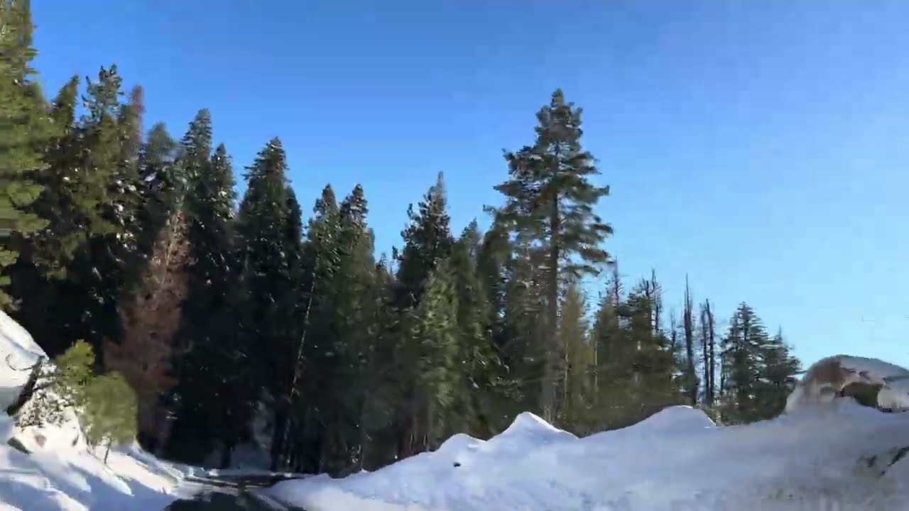 Driving Sequoia National Park in Winter: A Snowy Wonderland Guide
