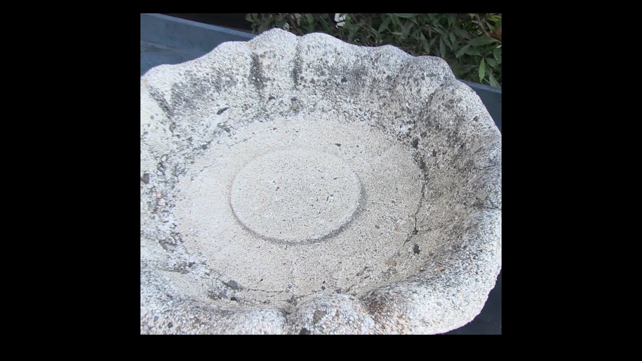 Учебное пособие по покрытию птичьей купальни