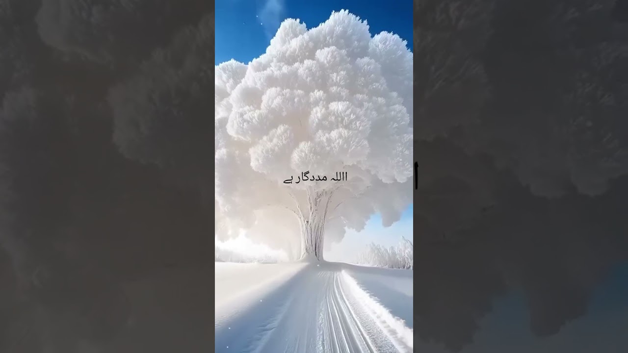 Beshak Allah Madadgar hai #shortvideo #lovemuhammad #allahuakbar
