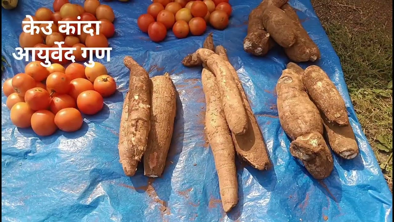 रायकोट बाजार,raikot bajar, Bastar Market,tribal areas 