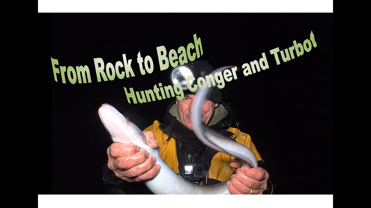 From Rocks to Beach Hunting Conger and Turbot - Anglesey Shore Fishing