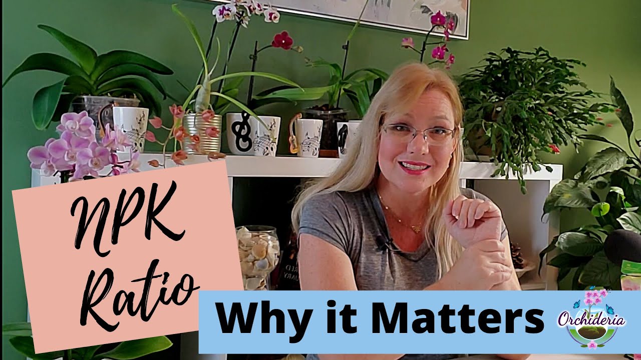 NPK Ratio for Orchids - What it is & Why it Matters