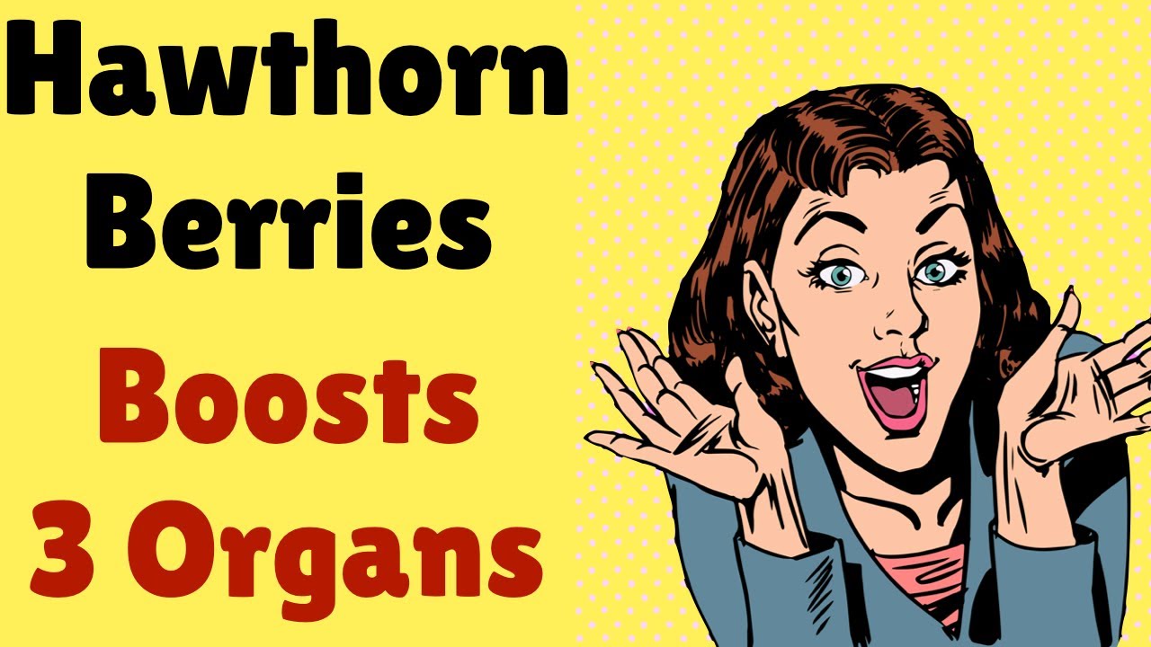 Hawthorn Berries Supercharges 3 of Your Organs