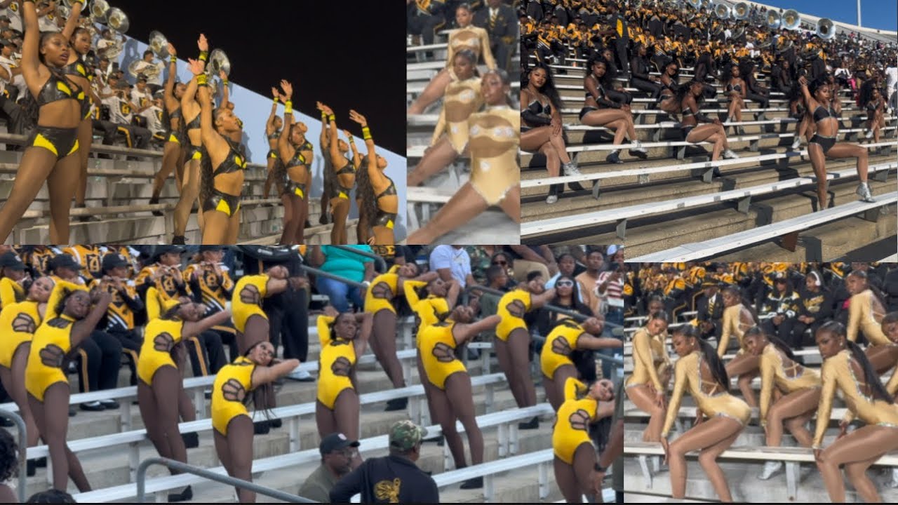 ASU STINGETTES «Stand Routines» ‘25 SZN 🐝💫