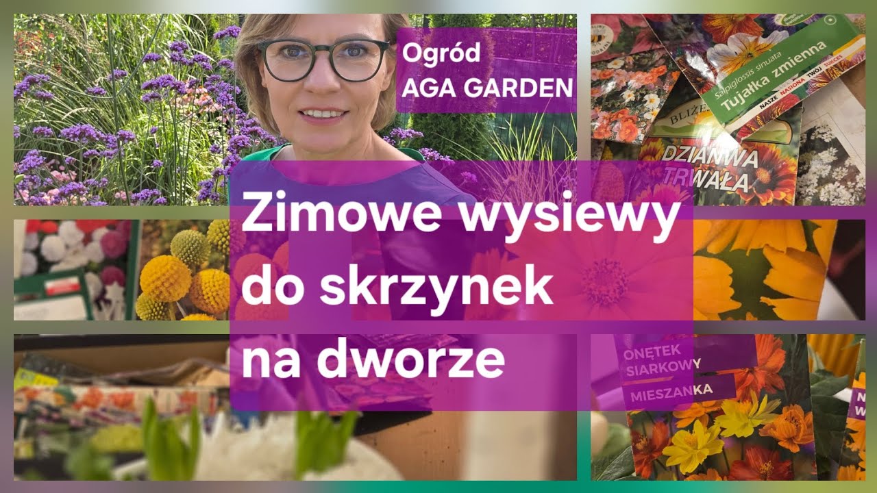 Zimowe wysiewy w skrzynkach plastikowych na dworze. Nie marnuj miejsca w domu. Rośliny będą silne.