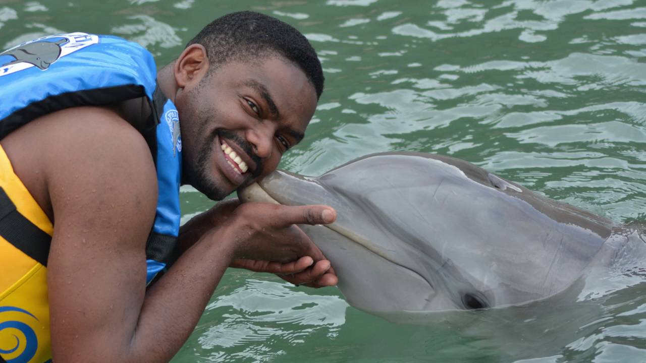 Dolphin Experience: Swim Adventure St Kitts | Dolphin Discovery