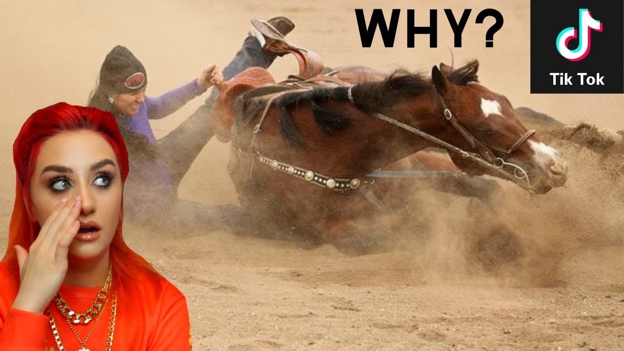 EQUESTRIAN REACTS TO HORSE TIK TOK FAILS (feat. Petcube Bites 2 Pet Camera)