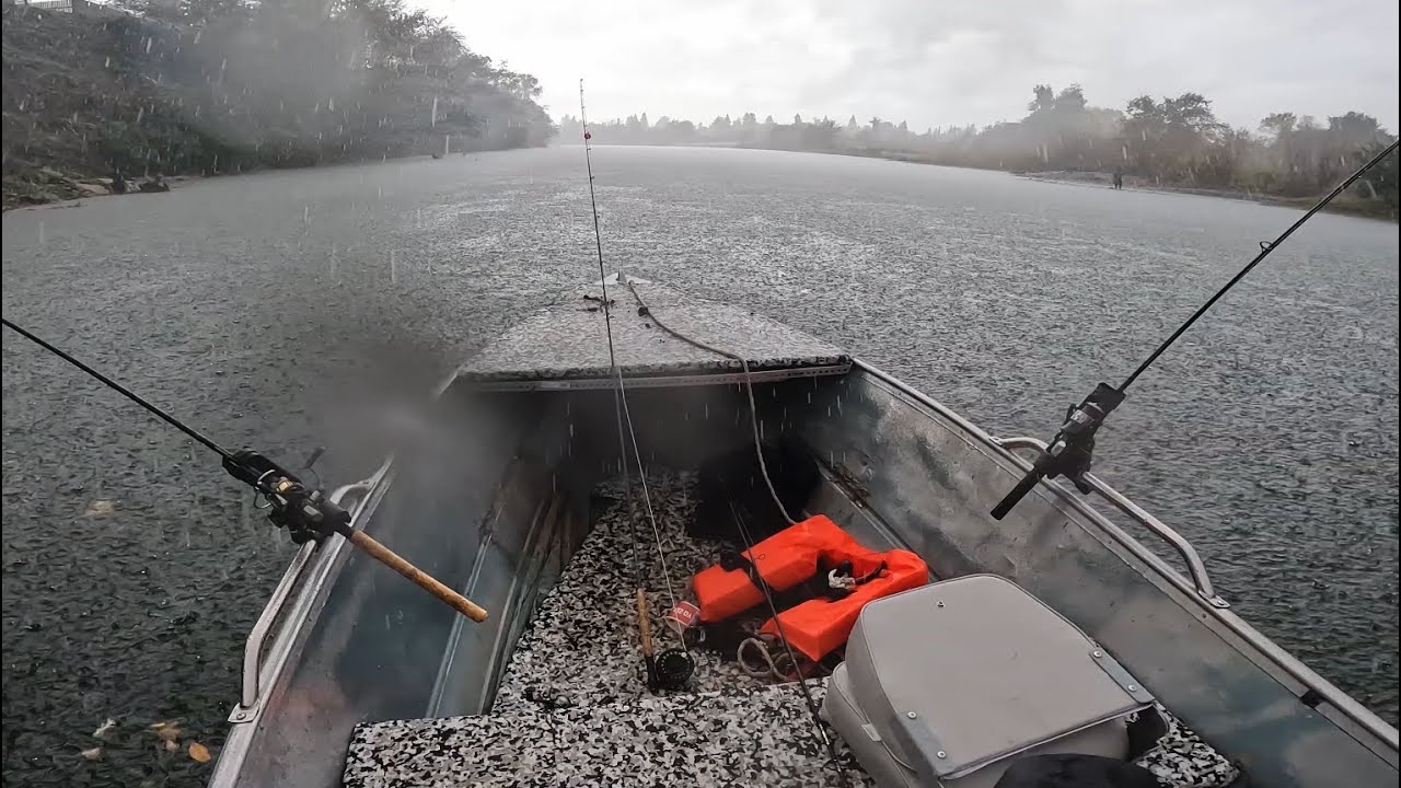 American River Steelhead and Striper Fishing | Fall 2023