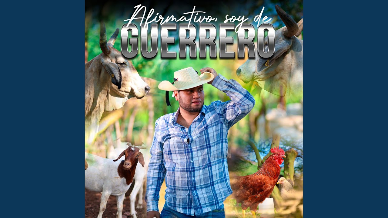 Afirmativo Soy De Guerrero