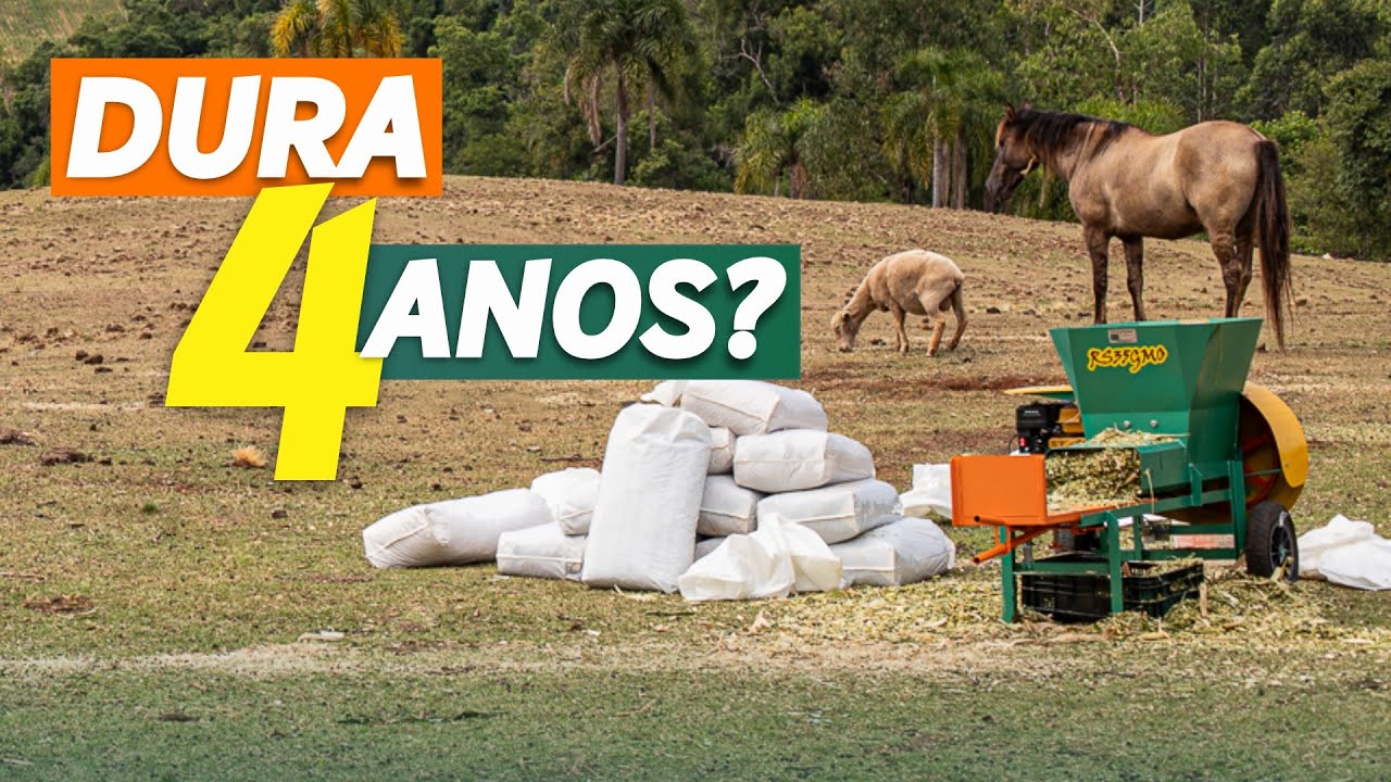 Principais d&uacute;vidas sobre SILAGEM ENSACADA