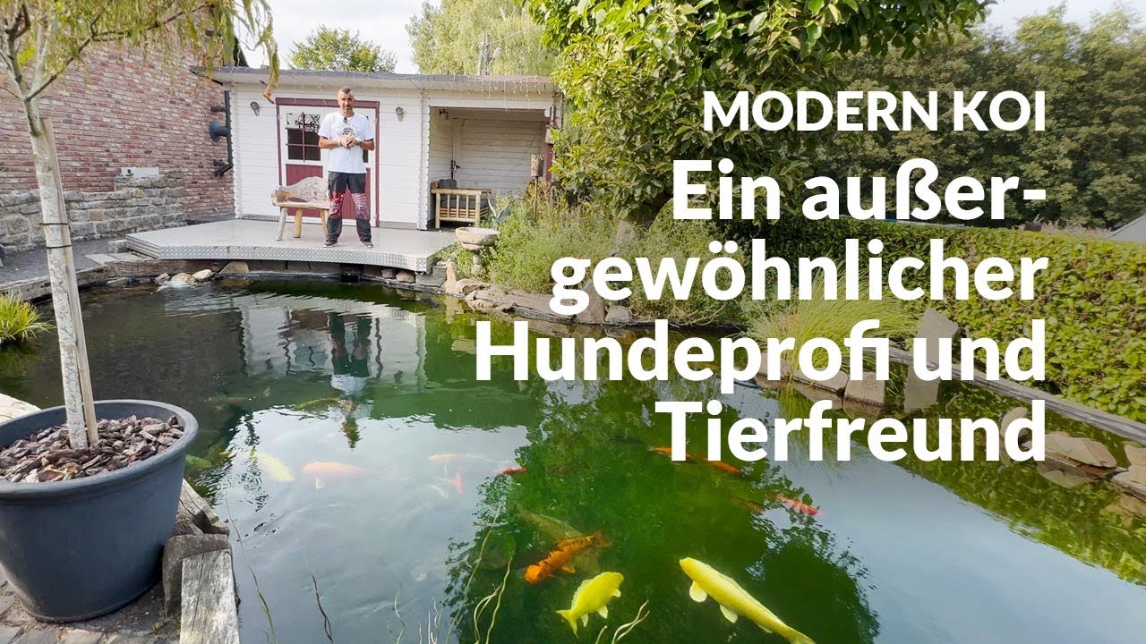 Knuts 35.000 Liter Sorgenteich | Modern Koi Blog #7215