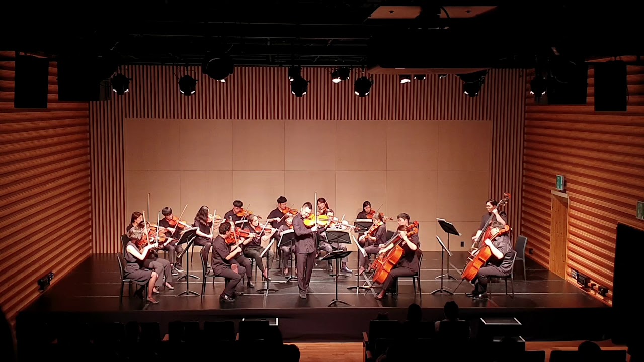 G. Ph. Telemann Viola Concerto 1mov. Largo [박용은/I.M strings]