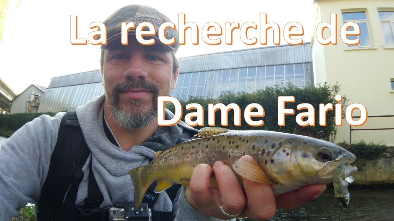 Recherche des Truites fario dans l'Eure-et-loir