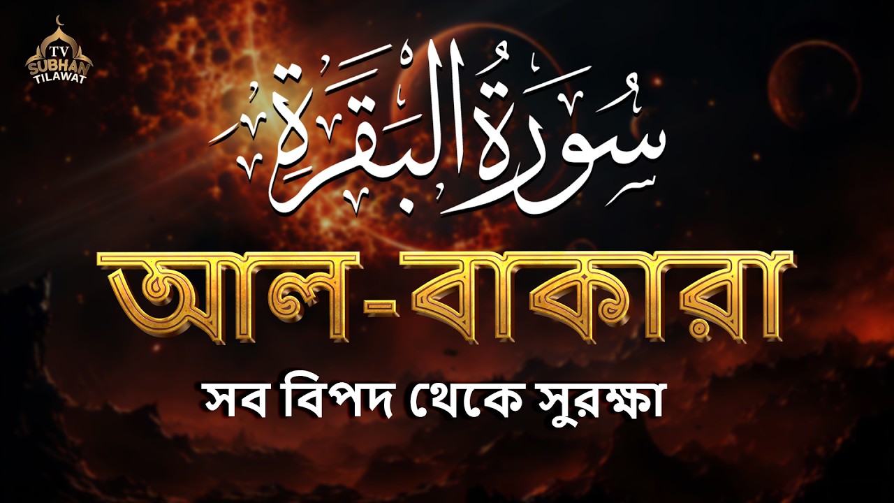 সবচেয়ে হৃদয়স্পর্শী সূরা বাকারা তেলাওয়াত 🌿 কুরআনের আলো ও শান্তির বার্তা | Surah Al Baqarah 💖