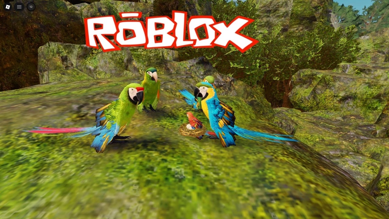 ARARA NO JOGO! VEJA COMO ELA ESTÁ INCRÍVEL 🦜🔥