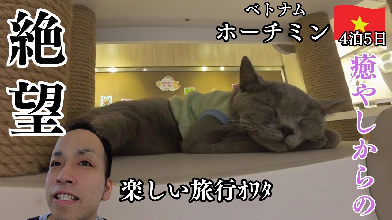 【ホーチミン】かわいい猫に囲まれて幸せな時間&hellip;のはずだった