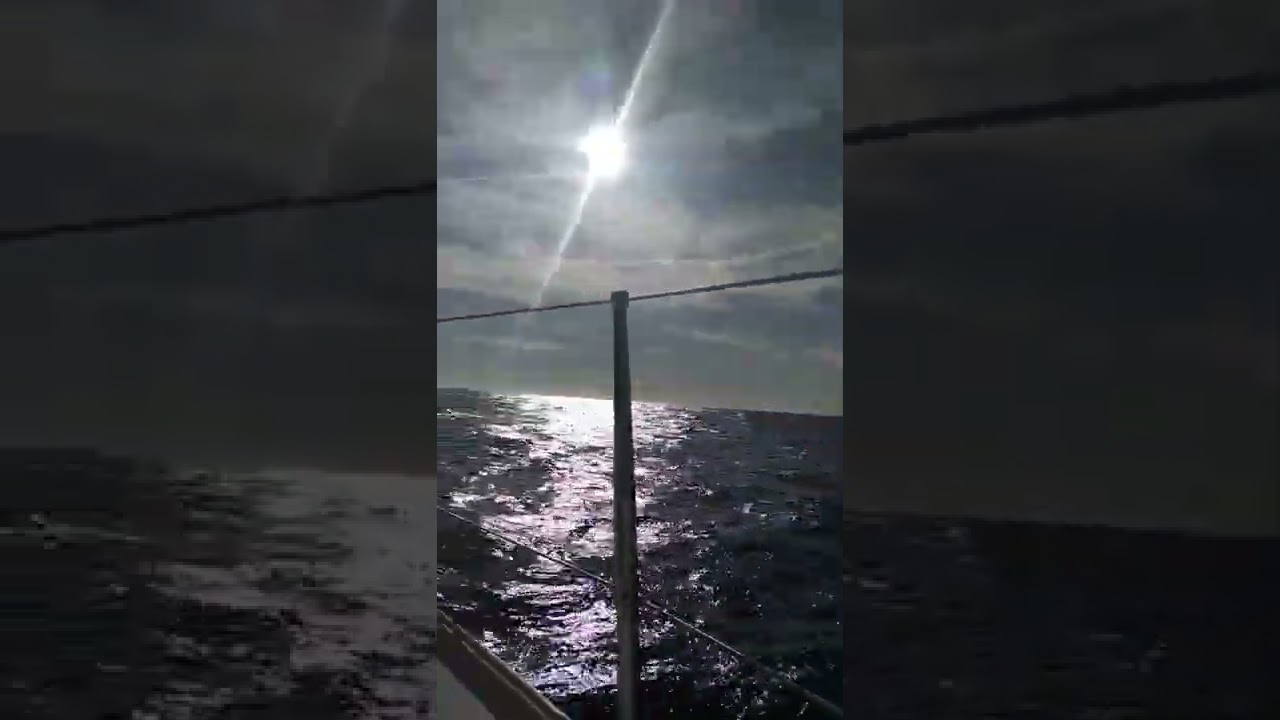 First 31.7  single-handed under spinnaker