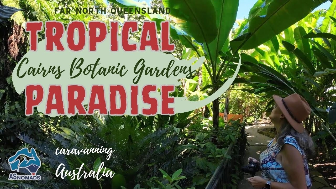 Tropical Paradise - Beautiful CAIRNS BOTANIC GARDENS | EP 86 Cairns, FNQ Australia
