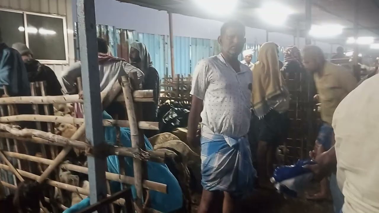  ரெட்டேரி ஆட்டுச்சந்தை (24/01/2026)