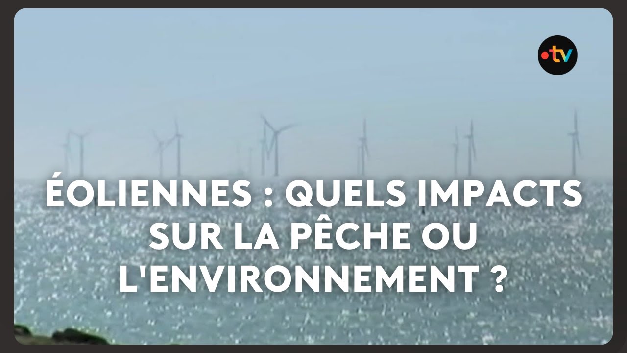 Parc &eacute;olien en baie de Morlaix : quels impacts sur la p&ecirc;che ou l'environnement ?