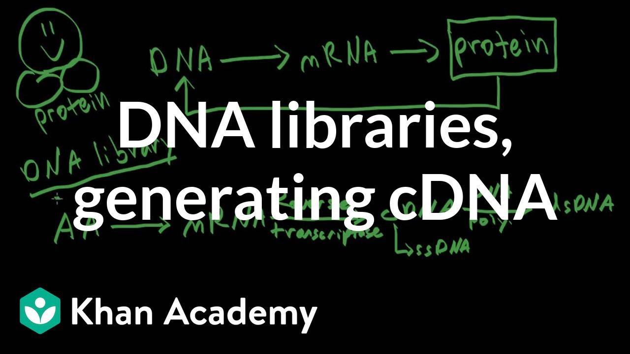 DNA libraries & generating cDNA | Biomolecules | MCAT | Khan Academy