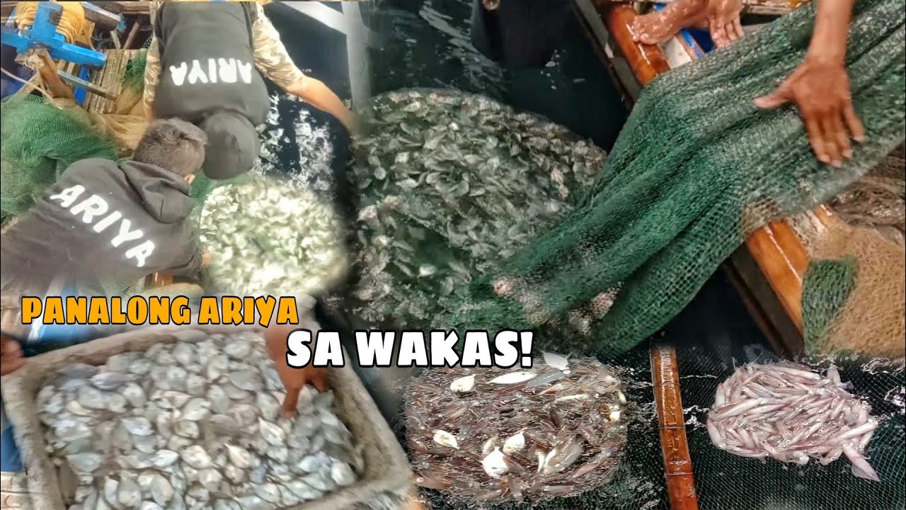 SA WAKAS LUMAKAS NARIN ANG HULING PUSIT AT ISDA.