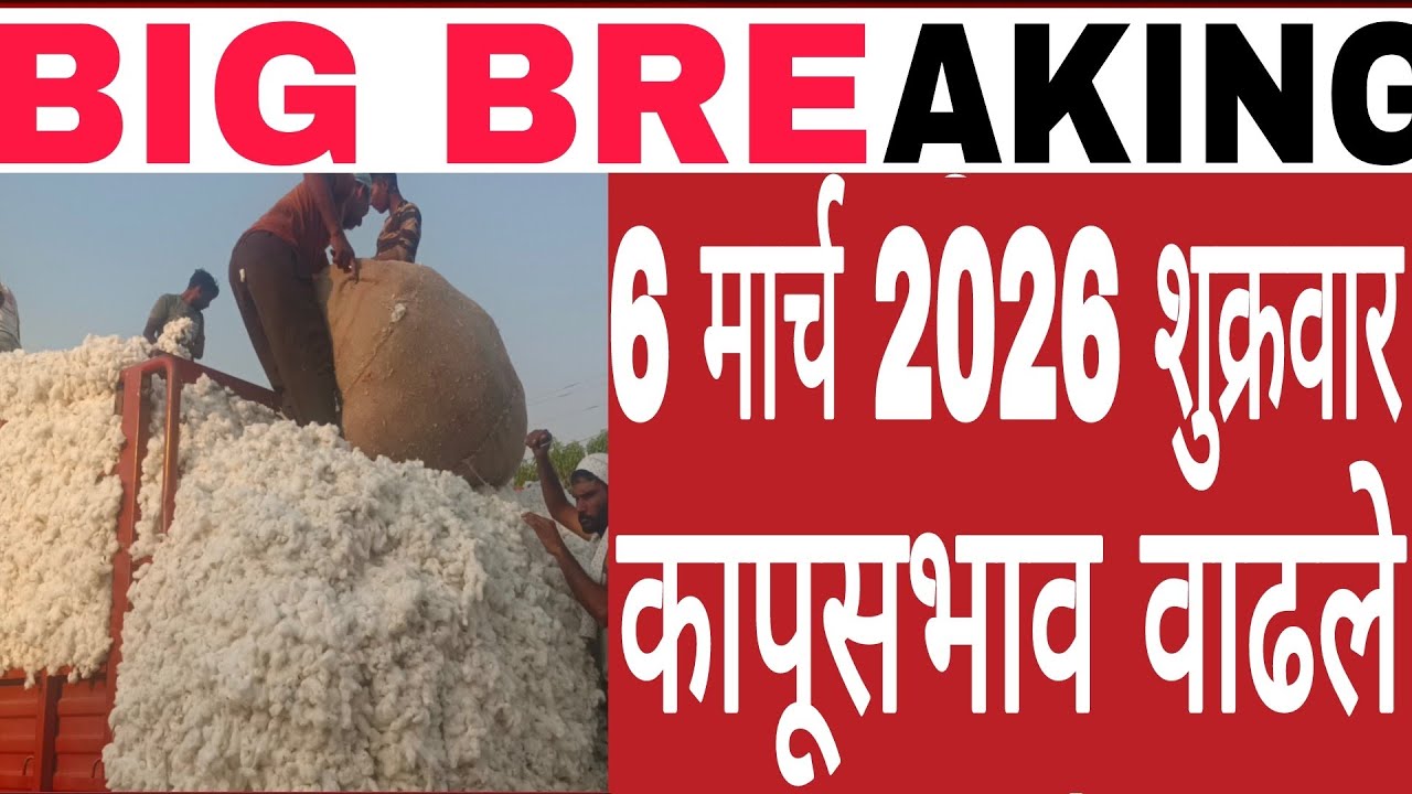 6 मार्च 2026 शुक्रवार राज्यातील कापूसशेतकऱ्यांसाठी खुशखबर कापूसभाव वाढले cottonrate कपास के दाम Live