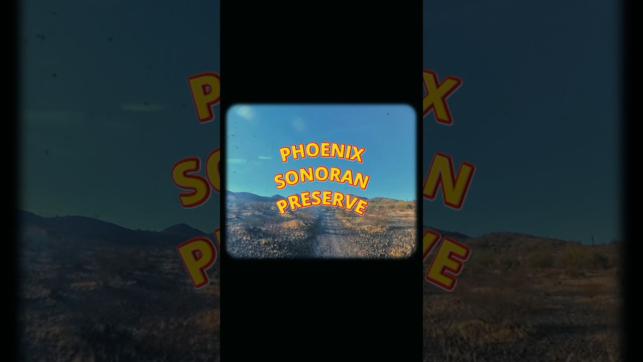 The Best Of Phoenix Sonoran Preserve #phoenixmtb #trailforks #arizonatrail #pov #mountainbiking