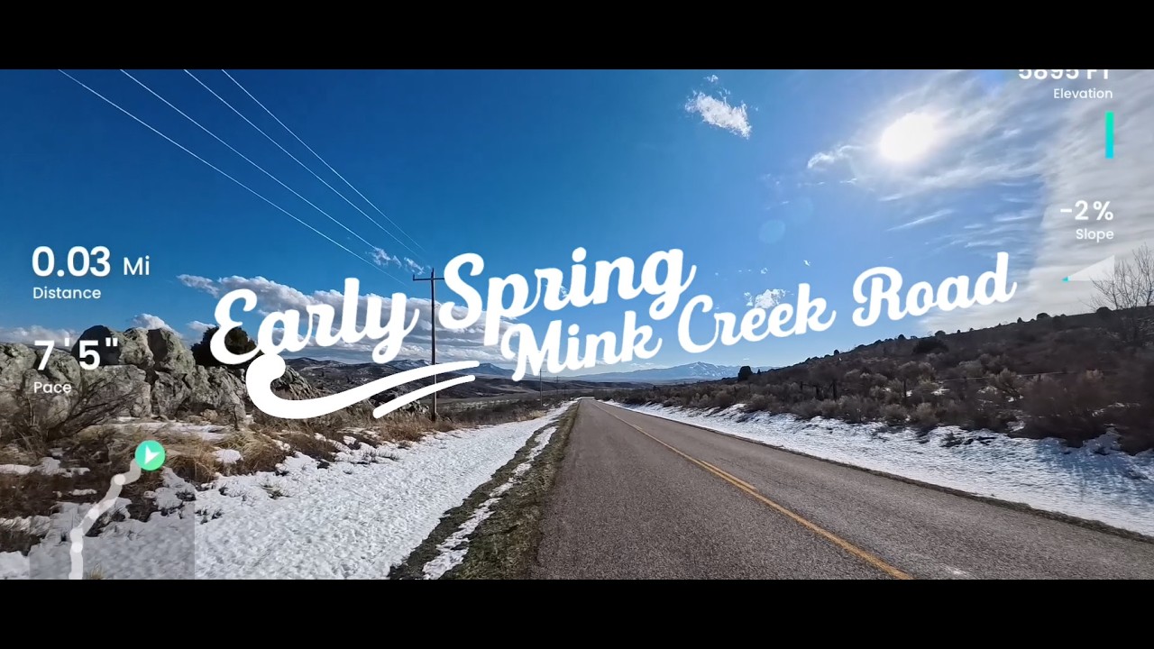 Early Spring Mink Creek Road - Treadmill Running Videos