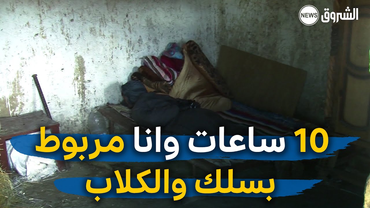 #معسكر : جماعة أشرار تستحوذ على أكثر من 70 رأس غنم