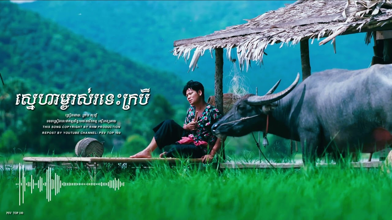 ស្នេហាម្ចាស់រទេះក្របី - ព្រាប សុវត្ថិ