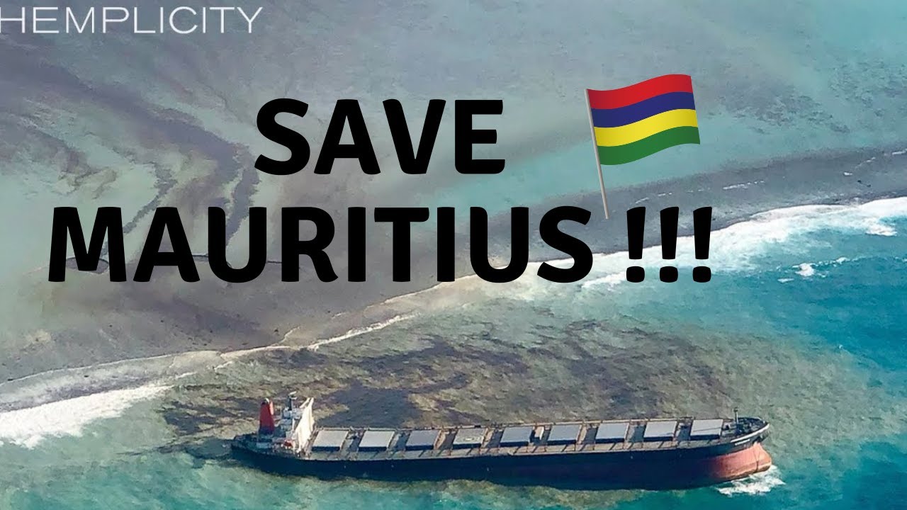Mauritius oil spill water experiment - How to save an island from oil spill using hemp shiv